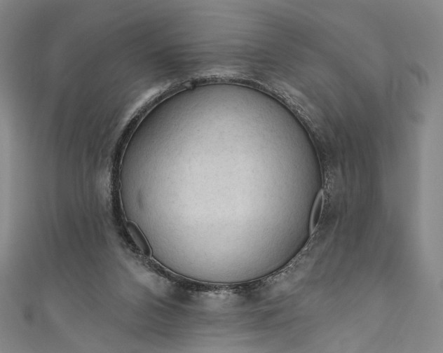 X0000111200112200907221138