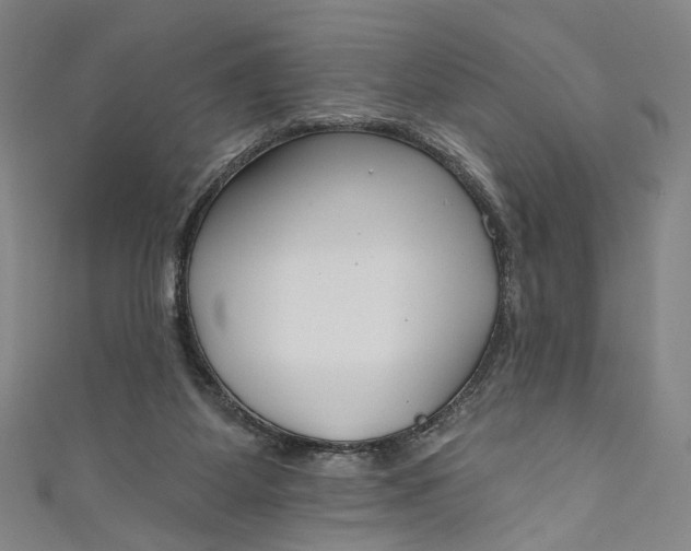 X0000111200115200907221138