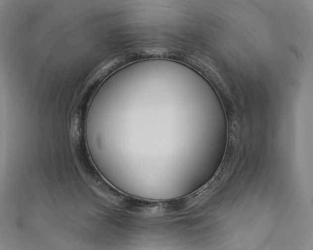 X0000111200116200907221138