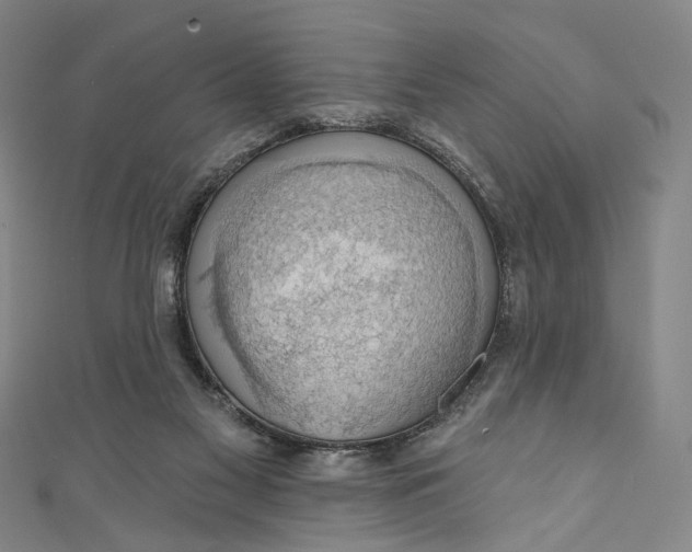 X0000111200117200907221138