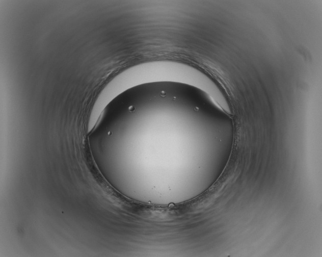 X0000111200121200907221138