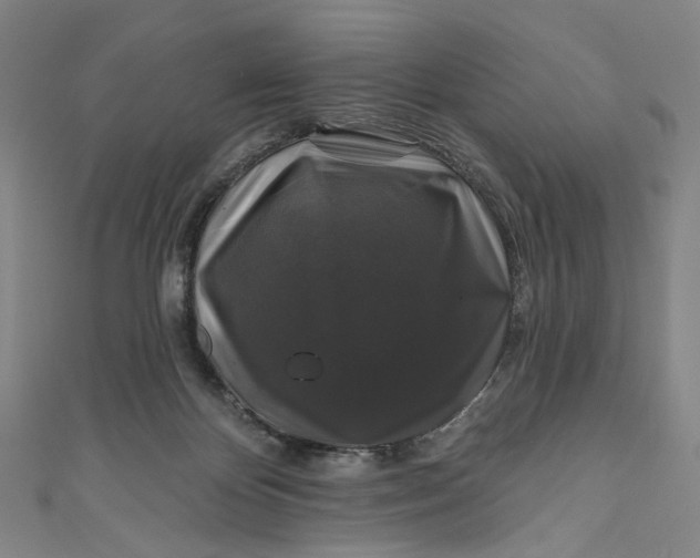 X0000111200124200907221138