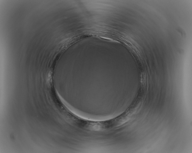 X0000111200127200907221138