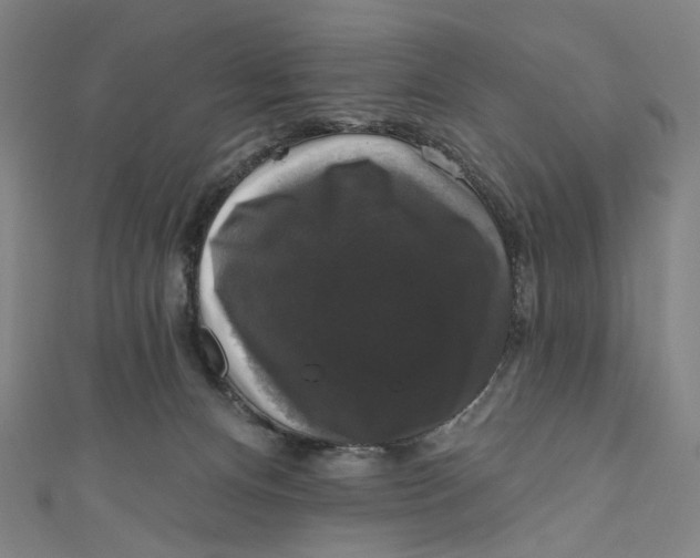 X0000111200128200907221138