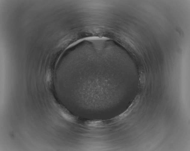 X0000111200132200907221138