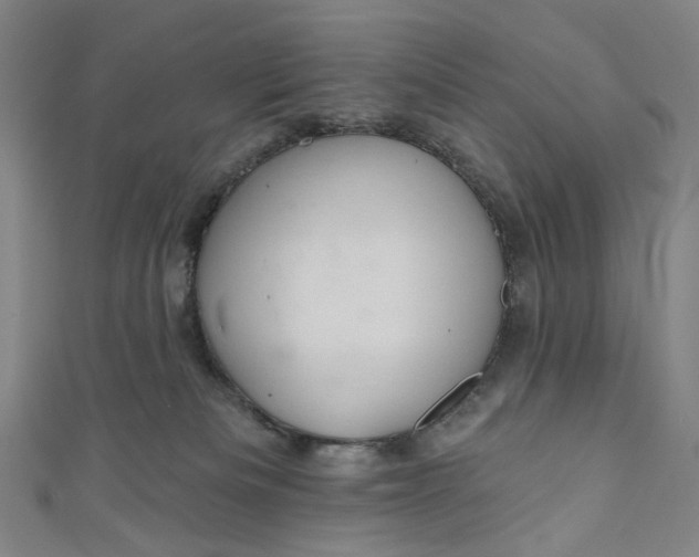 X0000111200133200907221138