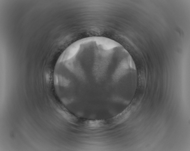 X0000111200134200907221138