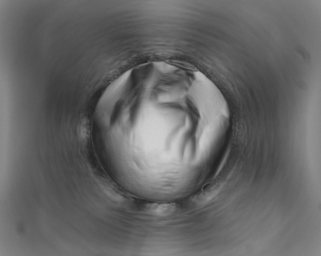 X0000111200135200907221138