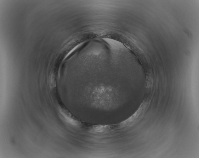 X0000111200136200907221138