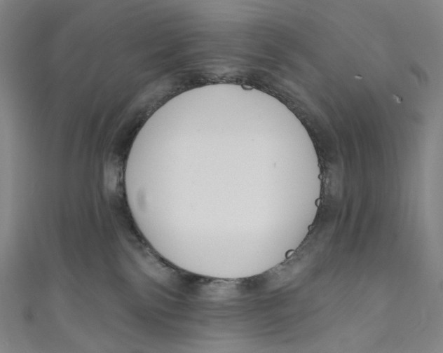 X0000111200138200907221138