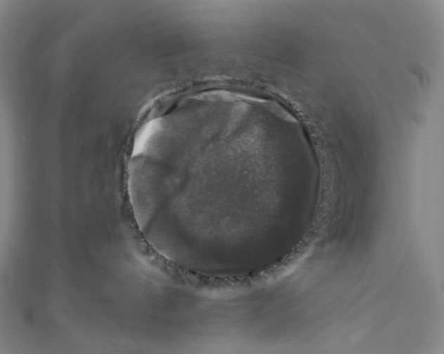 X0000111200144200907221138