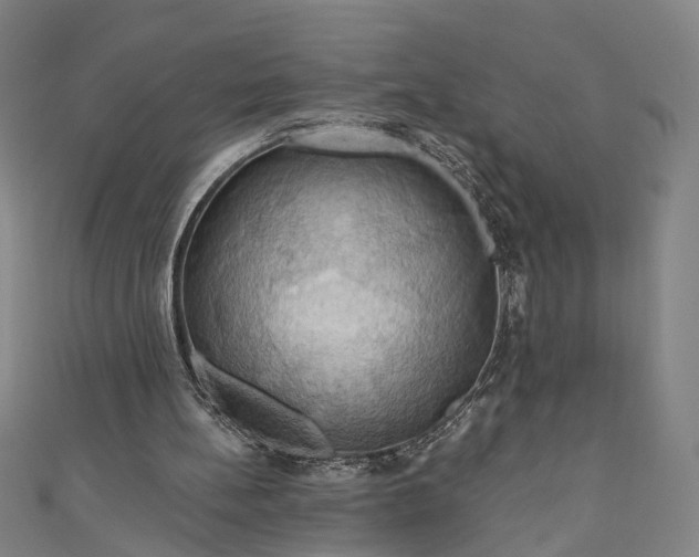 X0000111200148200907221137