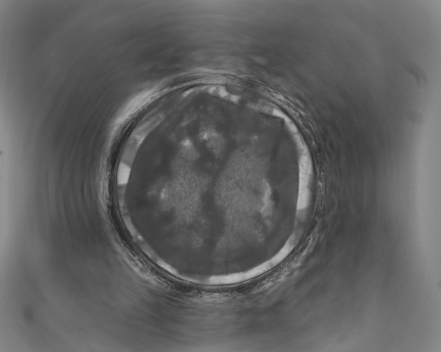 X0000111200149200907221137