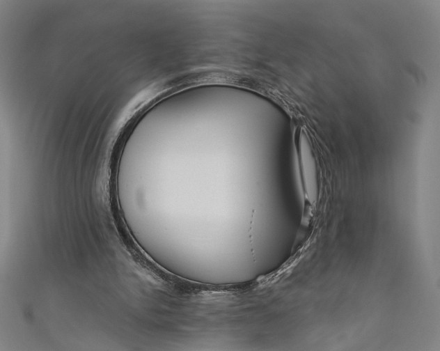 X0000111200150200907221137