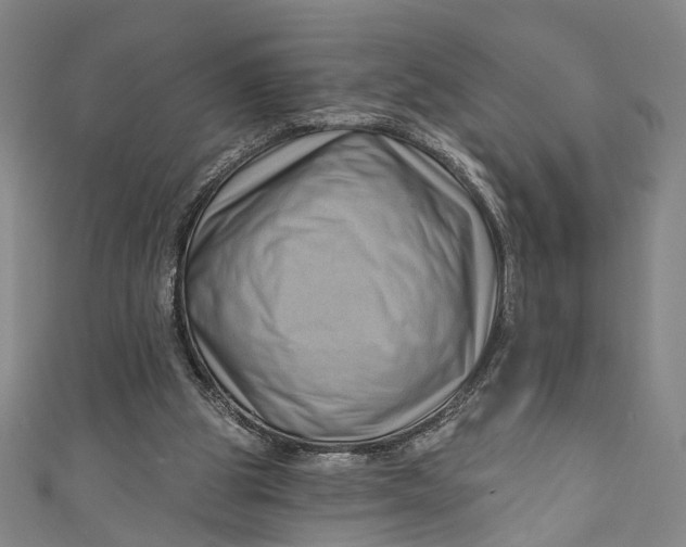 X0000111200153200907221137