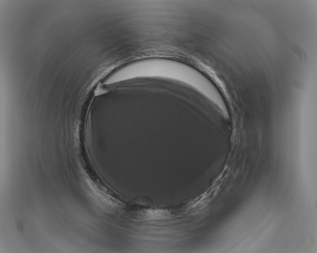 X0000111200154200907221137