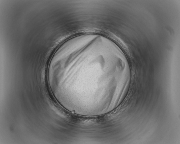 X0000111200155200907221137