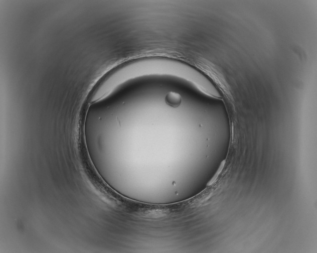 X0000111200156200907221137