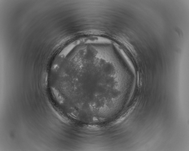 X0000111200157200907221137