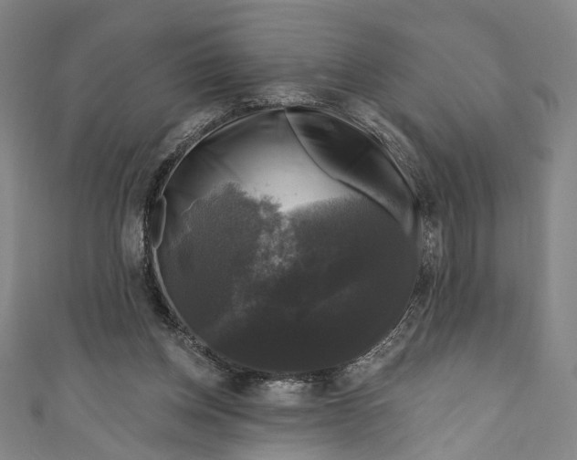 X0000111200158200907221137