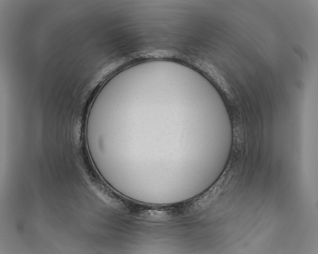 X0000111200159200907221137