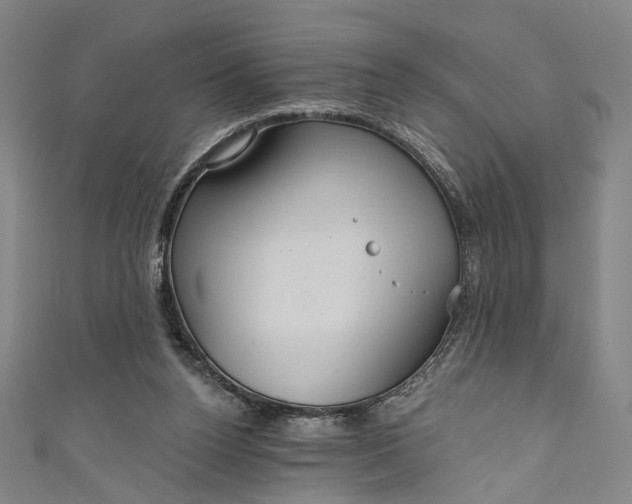 X0000111200160200907221137