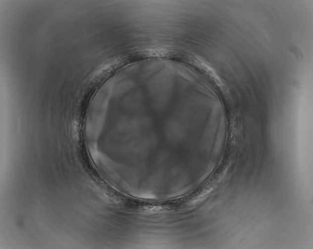 X0000111200161200907221137