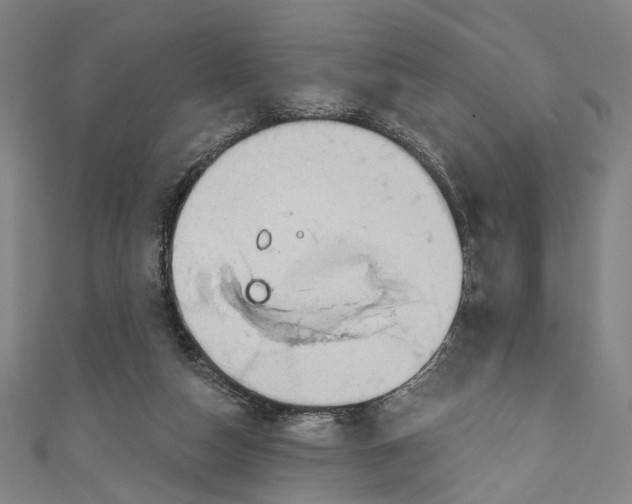 X0000111200162200907221137