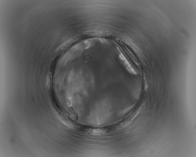 X0000111200165200907221137