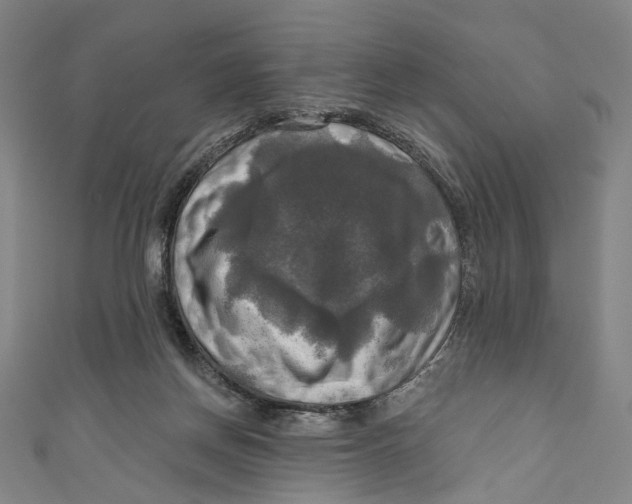 X0000111200166200907221137