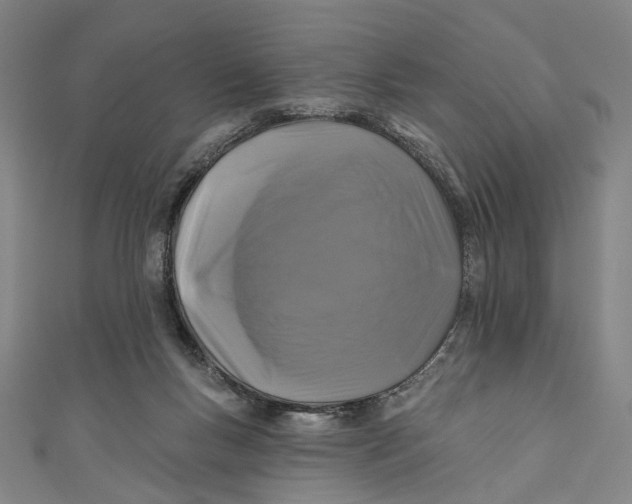 X0000111200167200907221137