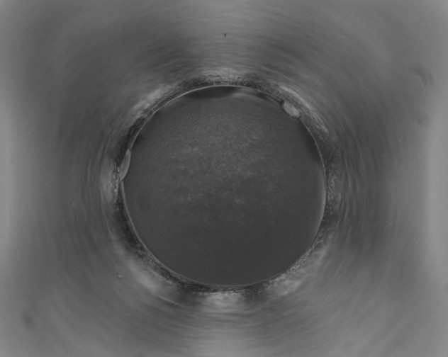 X0000111200168200907221137