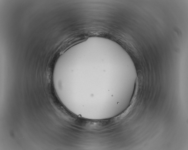 X0000111200174200907221137