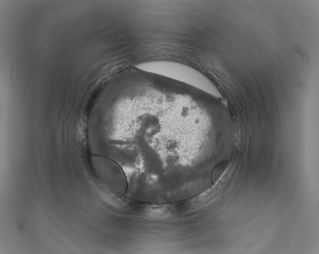 X0000111200175200907221137