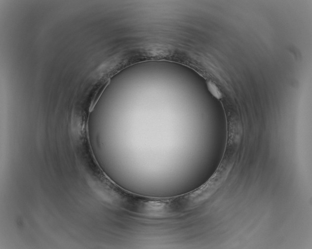 X0000111200176200907221137