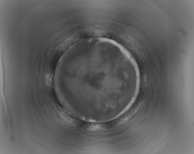 X0000111200177200907221137