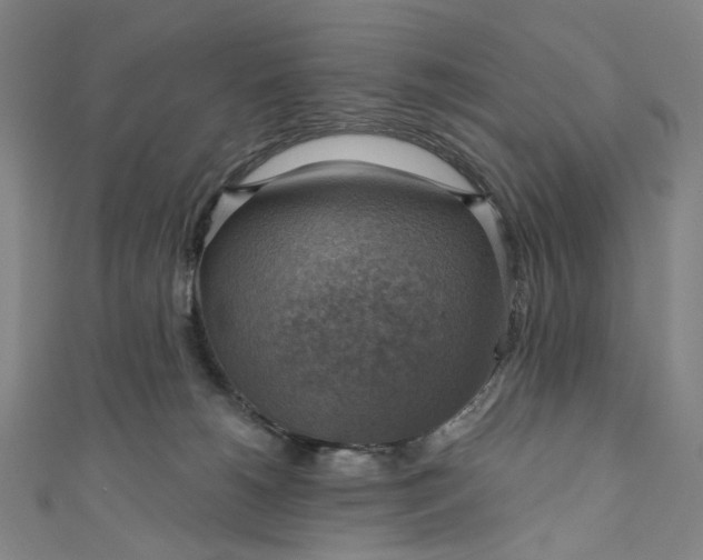 X0000111200180200907221138