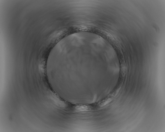 X0000111200181200907221138