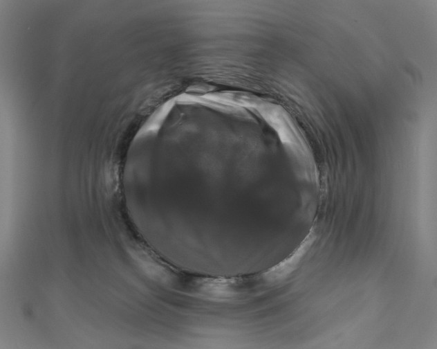 X0000111200182200907221138