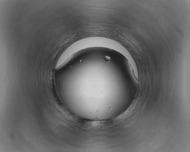 X0000111200184200907221138