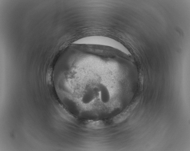 X0000111200185200907221138