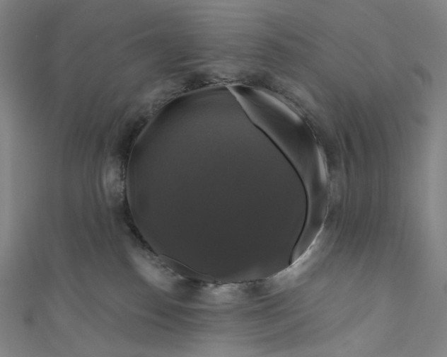 X0000111200186200907221138