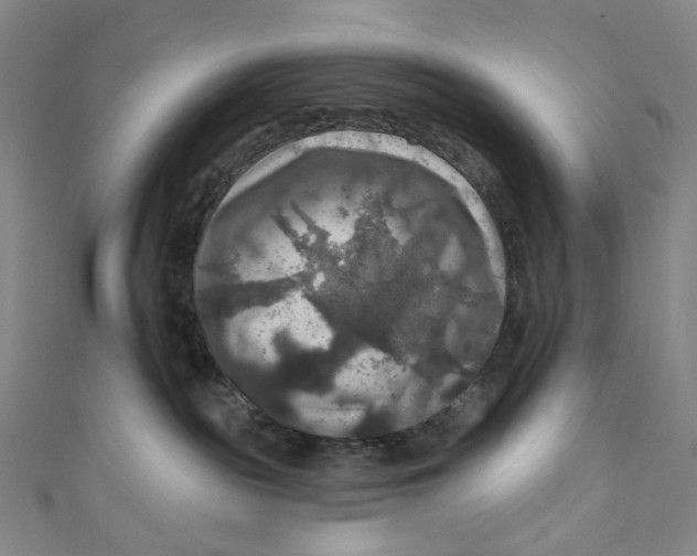 X0000111200189200907221138