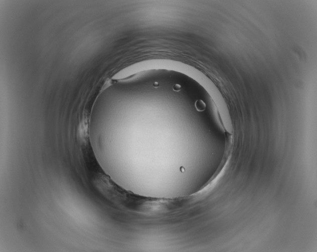 X0000111200190200907221138