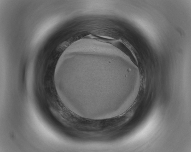 X0000111200191200907221138