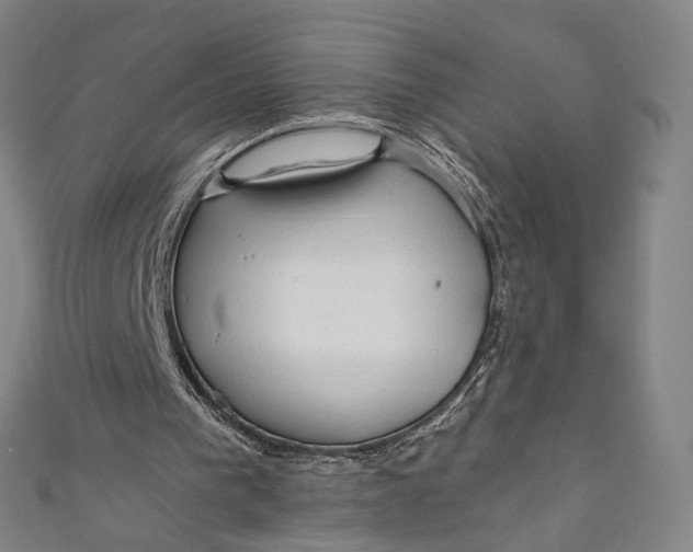 X0000111200193200907221137