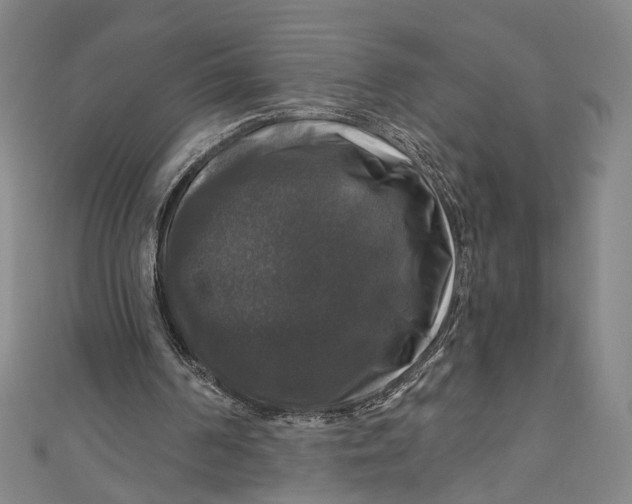 X0000111200194200907221137