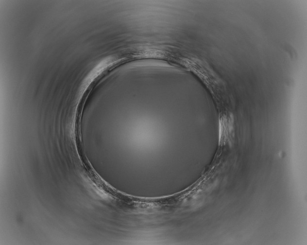 X0000111200195200907221137