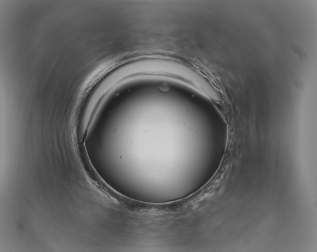 X0000111200197200907221137