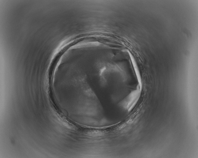 X0000111200198200907221137